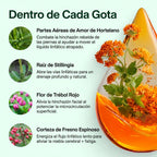 Drenaje Linfático Patagonia Herbs®