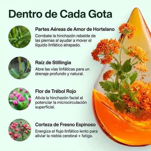 Drenaje Linfático Patagonia Herbs®